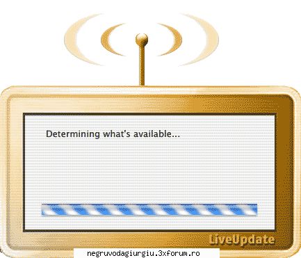 norton liveupdate for 100 years